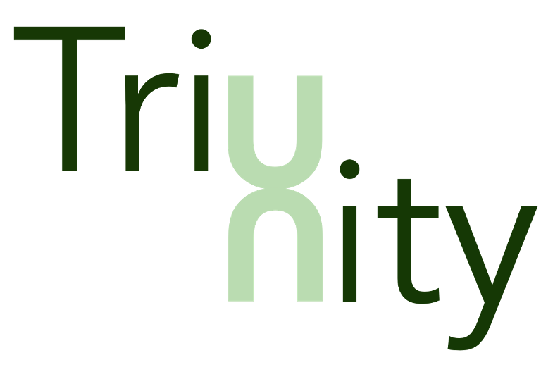 studiotriunity.com